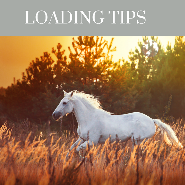 Tips for horses that are difficult to load