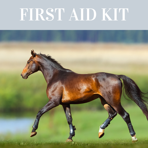 Equine first aid kit
