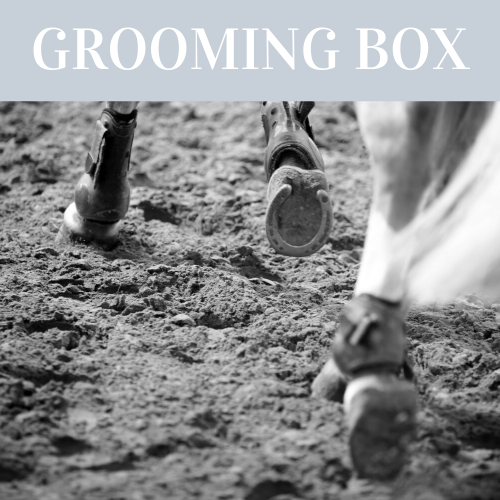Competition Grooming Box Essentials