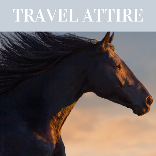 Travelling attire for horses