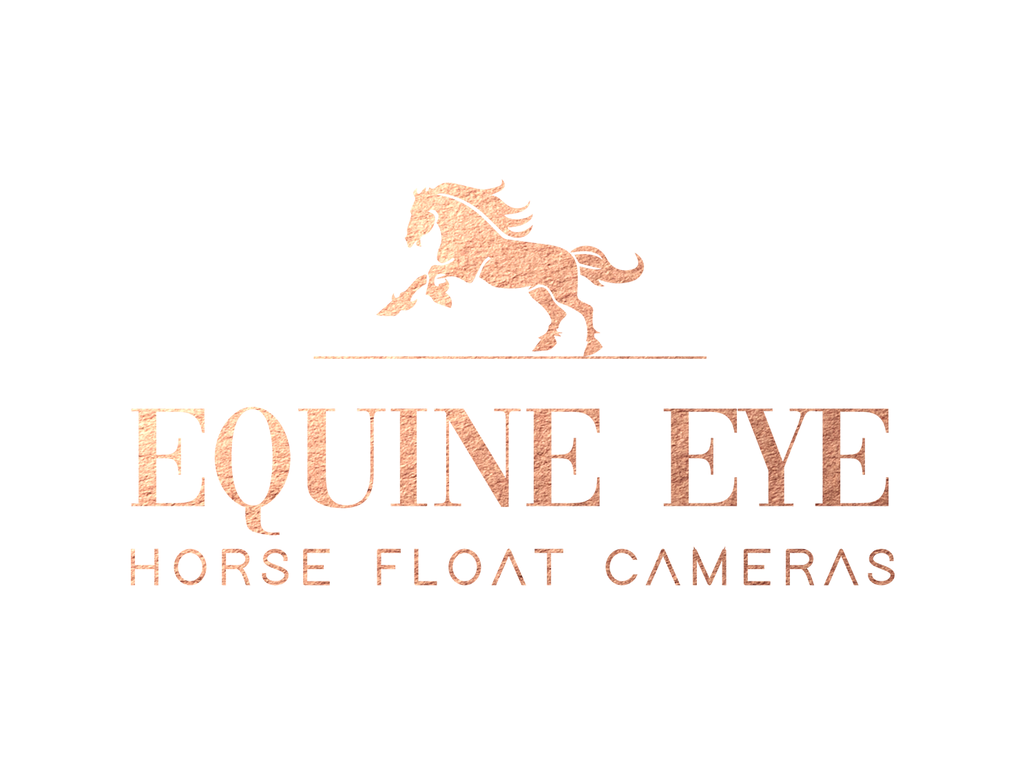 Equine Eye Logo