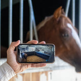 Equine Eye 'at home' (paddock / stable camera) - Europe