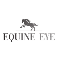 Equine Eye